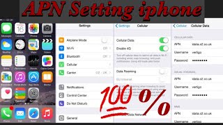 APN Setting in Iphone  How To Change APN Settings in iphone  100 Working [upl. by Prissie17]