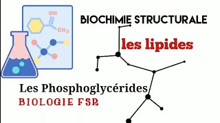 Cours Biochimie structuralePhosphoglycéridesPhospholipidesPropriétés chimiquesEther lipidesS3 [upl. by Ahsema826]