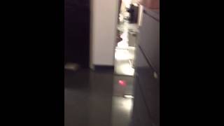 Quick video Flooding after burst pipe at Providence Public Safety Complex [upl. by Thorbert]