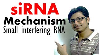 siRNA  Short interfering RNA mechanism of RNA interference [upl. by Sokim]