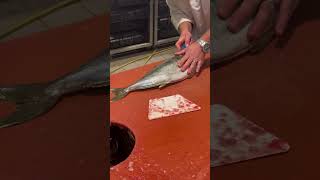 Yellowtail 🐟from Netherlands KingFish Sashimi Subscribe for More Joyful Video 😍 [upl. by Hermia]