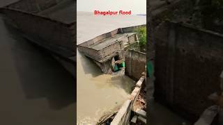 Bhagalpur flood biharflood flood shorts anur [upl. by Hijoung]