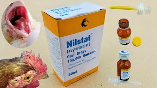 Nystatin for Chickens  Nilstat Drops  Fungal infection Treatment in Poultry  Dr ARSHAD [upl. by Olimpia]