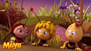 Night watch  Maya the Bee🐝🍯🐝 [upl. by Ballinger218]