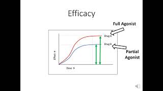 Efficacy vs potency [upl. by Shaeffer]