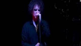 The Cure  Untitled  Live in Berlin [upl. by Uzia]