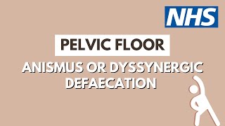 Anismus or Dyssynergic Defaecation  Leicester Pelvic Floor Service  UHL NHS Trust [upl. by Neri]