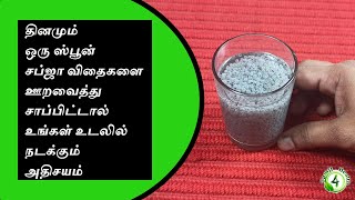 6 Healthy Seeds For Good Health 🥜🌱 Ft Neelima Esai  Neels [upl. by Nairim711]