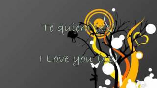 Stromae  Te Quiero  Lyrics on screen French  English [upl. by Nytsyrk]