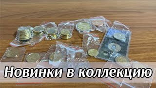 Пополнил коллекцию монетами 2024 года Монеты США России 2 евро Монеты серии язык цветов [upl. by Janeen]