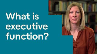 What Is Executive Function [upl. by Magnuson]