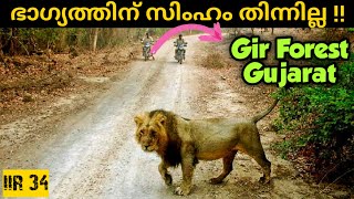 EP 35Gir National Park  Sasan Gir Indian Simba  Asian Lion Spotted Gir Safari ഗീർ വനം ഗുജറാത്ത് [upl. by Hecker185]