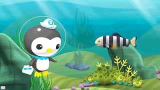 Octonauts Childrens Learning Game for LeapPad Learning Tablets  LeapFrog [upl. by Nnaeed]