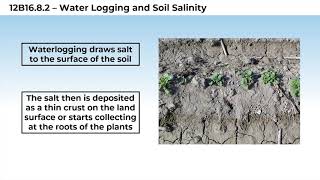 4 12B168 CV2 Water Logging and Soil Salinity [upl. by Atinna]