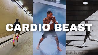 How To Get SuperHuman Cardio For Combat Sports… [upl. by Betthezul845]