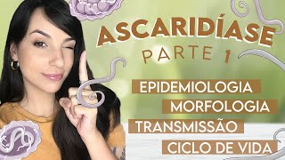 ASCARIDÍASE Ascaris lumbricoides  DICAS PARA SUA PROVA PRÁTICA  Parte 1  PARASITOLOGIA 13 [upl. by Honebein151]