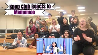 KPOP CLUB REACTS TO MAMAMOO  HIP [upl. by Ardnuaed]