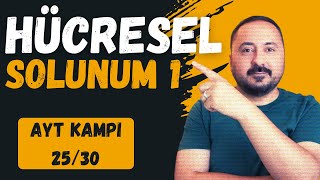 Hücresel Solunum 1  30 Derste AYT Biyoloji Kampı 25Ders  2025  Cici Biyoloji [upl. by Rickie622]