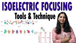 Isoelectric Focusing II Isoelectric Focusing of Proteins II Techniques [upl. by Ytteb]