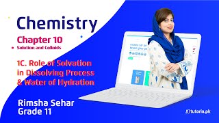 Chemistry Class 11  Chapter 10  Topic 1C  Role of Solvation in Dissolving Process  tutoriapk [upl. by Casimir282]