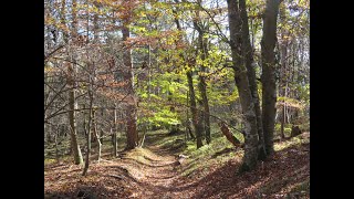 Auf zur Wanderung  los geht´s [upl. by Akimert721]