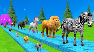 Paint amp Animals CowGorrilaElephantZebraSheepLionHusky Fountain Crossing Transformation Cartoon [upl. by Brett]