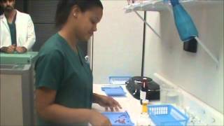 Counting Prescription Medication for Pharmacy Technicians [upl. by Pero464]