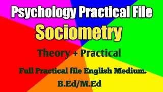 Psychology Practical File  Sociometry test  BEdMEd Practical file English Medium [upl. by Vladi]