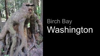 BirchBay State Park Washington [upl. by Yeltnerb]