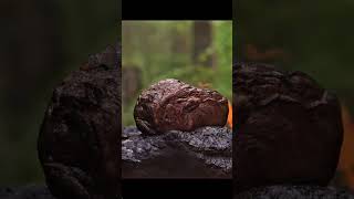 Steak grilled in stone ASMR 😳 shorts steak asmrsteak [upl. by Nigrom]