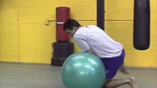 Frank Shamrock MMA Training [upl. by Nodlew]