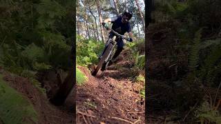 Loam trails [upl. by Karab]