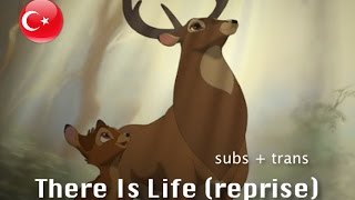 Bambi II  There Is Life Reprise  Turkish Subs  Trans [upl. by Ute]