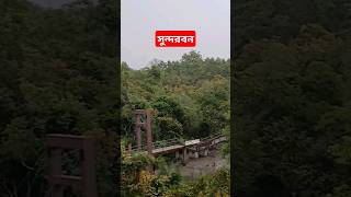 সুন্দরবন  Sundarban shortsfeed sundarban subscribe viralshort [upl. by Butch]