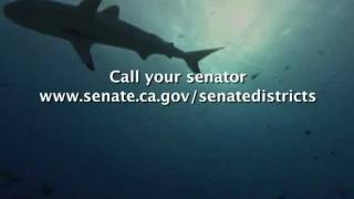 Support California AB376 to Save Sharks [upl. by Base]