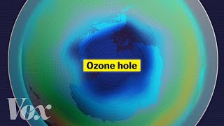 Why you don’t hear about the ozone layer anymore [upl. by Ebocaj]