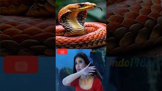 NAAGIN vs NAAGIN 6🐍🐍🐍💝💖💗💓 shorts [upl. by Tomlin]