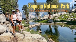 Sequoia National ParkLodgepole Campground  General Sherman  Tokopah Falls  Moro Rock Watchtower [upl. by Perla]