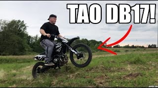 Jumping The 600 Tao Tao DB17 125 Dirt Bike [upl. by Sacha308]