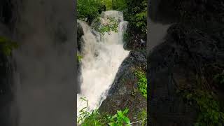 goa mollem water fall trendingshorts trending viral shorts [upl. by Ellessig713]