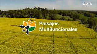 Syngenta  Aapresid  Polinizadores  Video para Stand por Productora Audiovisual [upl. by Bollen]