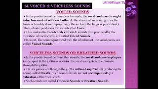 Organs of Speech RespiratoryPhonatoryArticulatory Voiced amp VoicelessOralNasalNasalized Sounds [upl. by Ymmij]