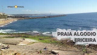 Praia Algodio ou Praia do Norte  Ericeira [upl. by Nitram]