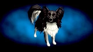 Torchlight II Papillon Pet Reveal [upl. by Griff674]