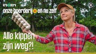 Gaat alles mis op de boerderij van Yvon  Onze boerderij en nu zelf  Op t land 4  KRONCRV [upl. by Calida943]