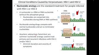 Virology Chapter 13 Part 1 [upl. by Noived]