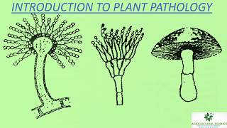 Introduction to plant pathologyscope of plant pathologyimportance in Agriculture [upl. by Annoel]