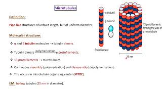 General Histology Lecture 2  Nonmembranous organelles  inclusion and matrix [upl. by Pattin85]