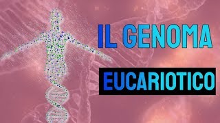 Dalle leggi di Mendel al DNA 🧬  La teoria cromosomica dell’ereditarietà [upl. by Mackenzie]