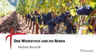 quotDer Weinstock und die Rebenquot  Joh15  Michael Bronclik  AGL 03112024 [upl. by Bang]